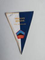 /album/brezova-pod-bradlom/brezova-pod-bradlom-bradlan-20-jpg/